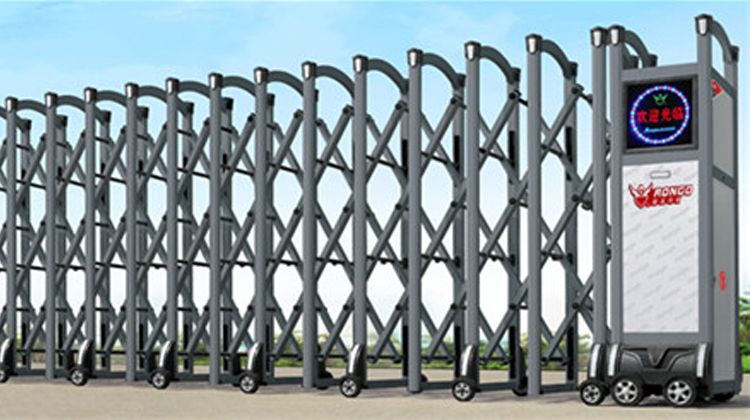 1575859294102458.jpg 44.jpg